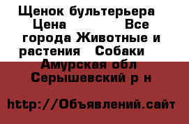 Щенок бультерьера › Цена ­ 35 000 - Все города Животные и растения » Собаки   . Амурская обл.,Серышевский р-н